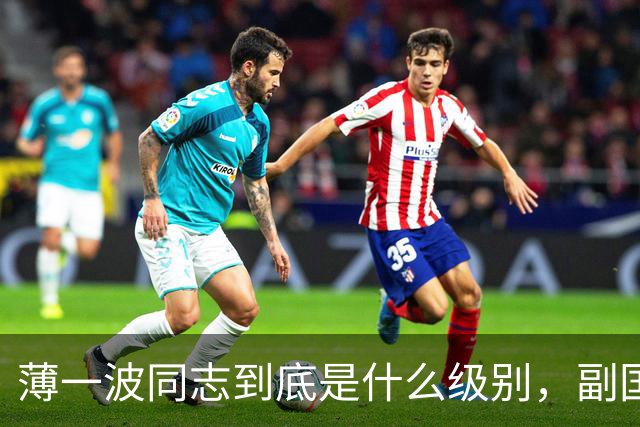 薄一波同志到底是什么级别，副国级？还是正国级？